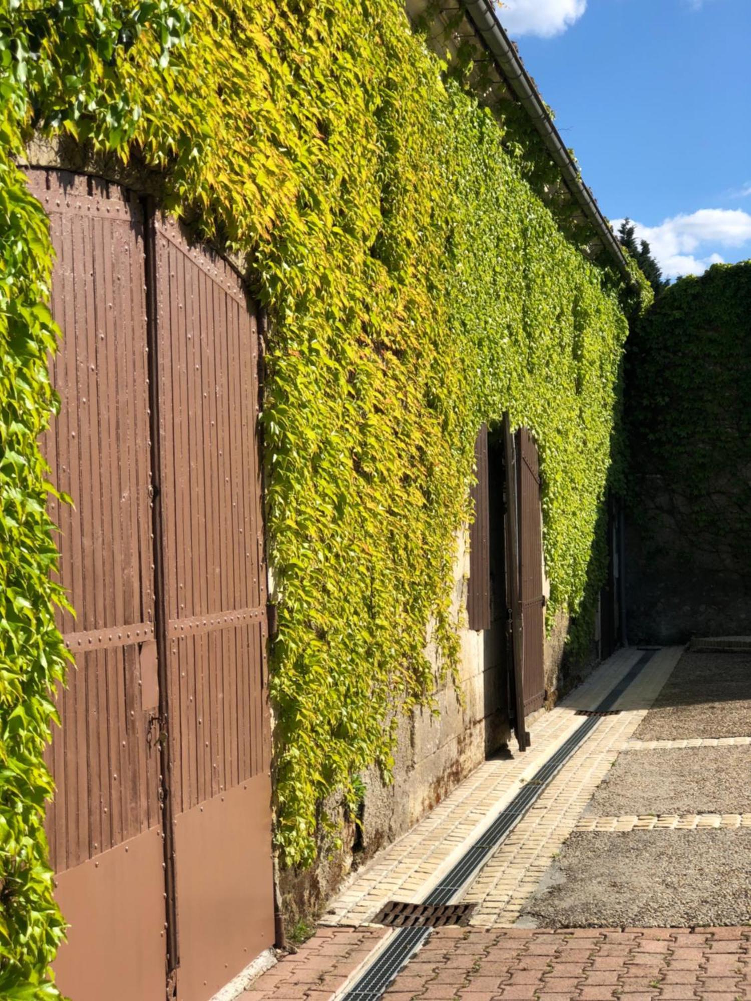 Le Domaine Du Haut Preau Saint-Palais-de-Negrignac Esterno foto